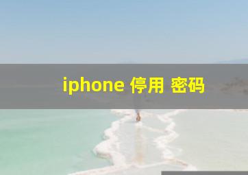 iphone 停用 密码